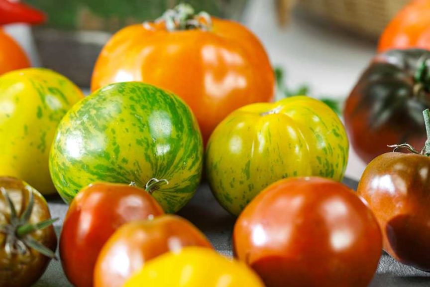 Chef's Choice Tomatoes