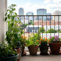 Balcony & Patio Pack