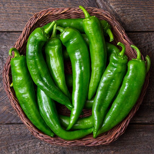 Anaheim Chile Pepper