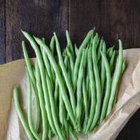 Blue Lake Bush Bean - Succession Pack