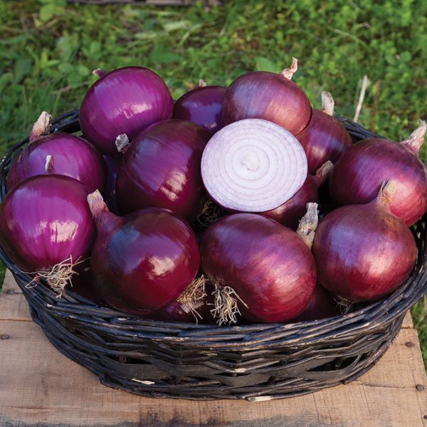Cabernet Onions