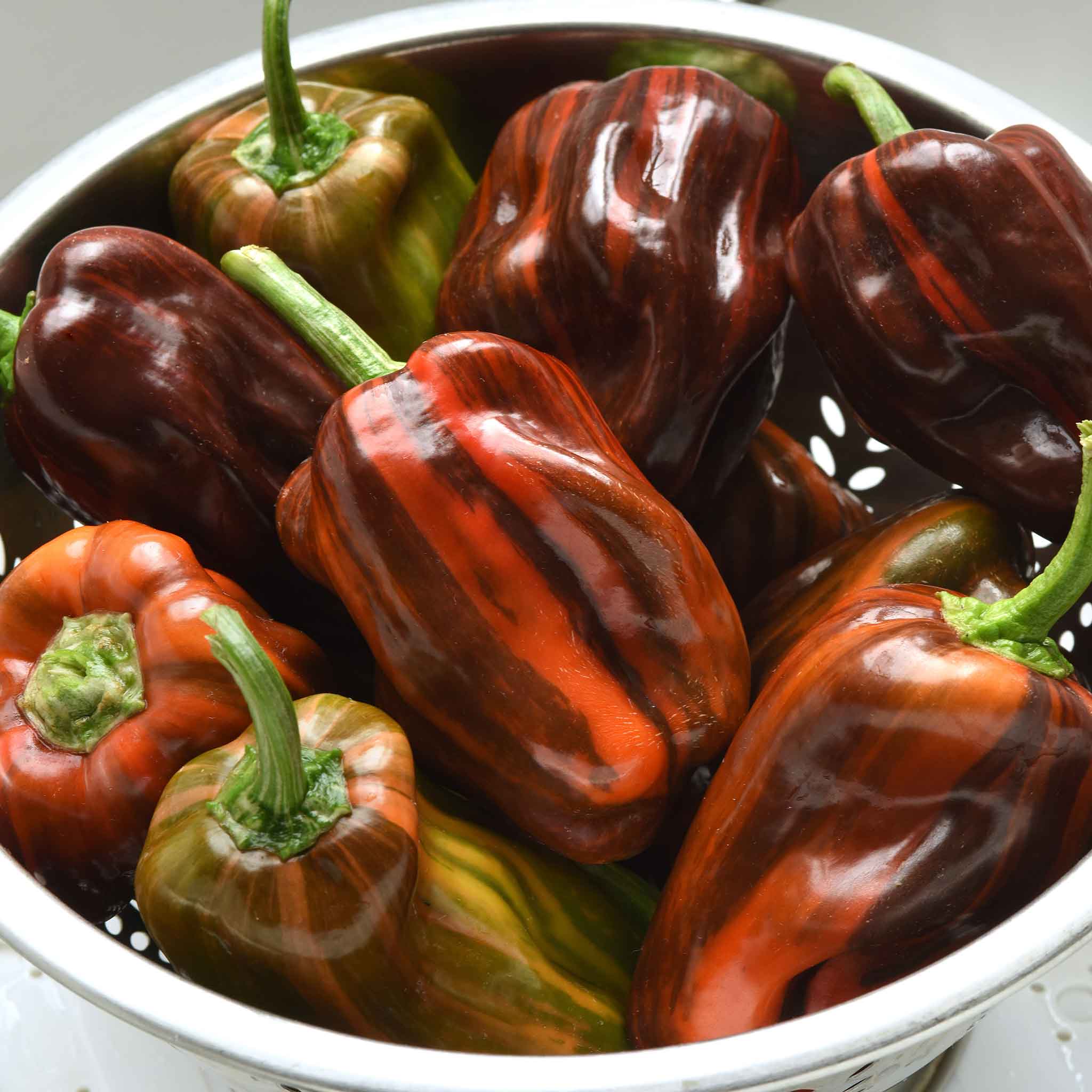 Candy Cane Sweet Pepper