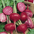 Chioggia Beets Seeds