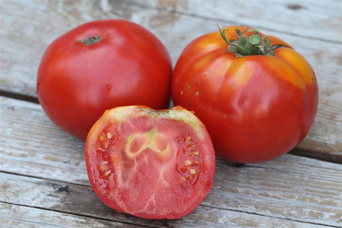 Cosmonaut Volkov Tomato
