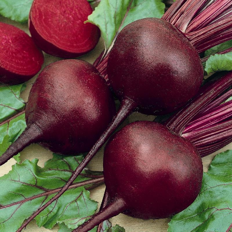 Detroit Dark Red Beets Seeds