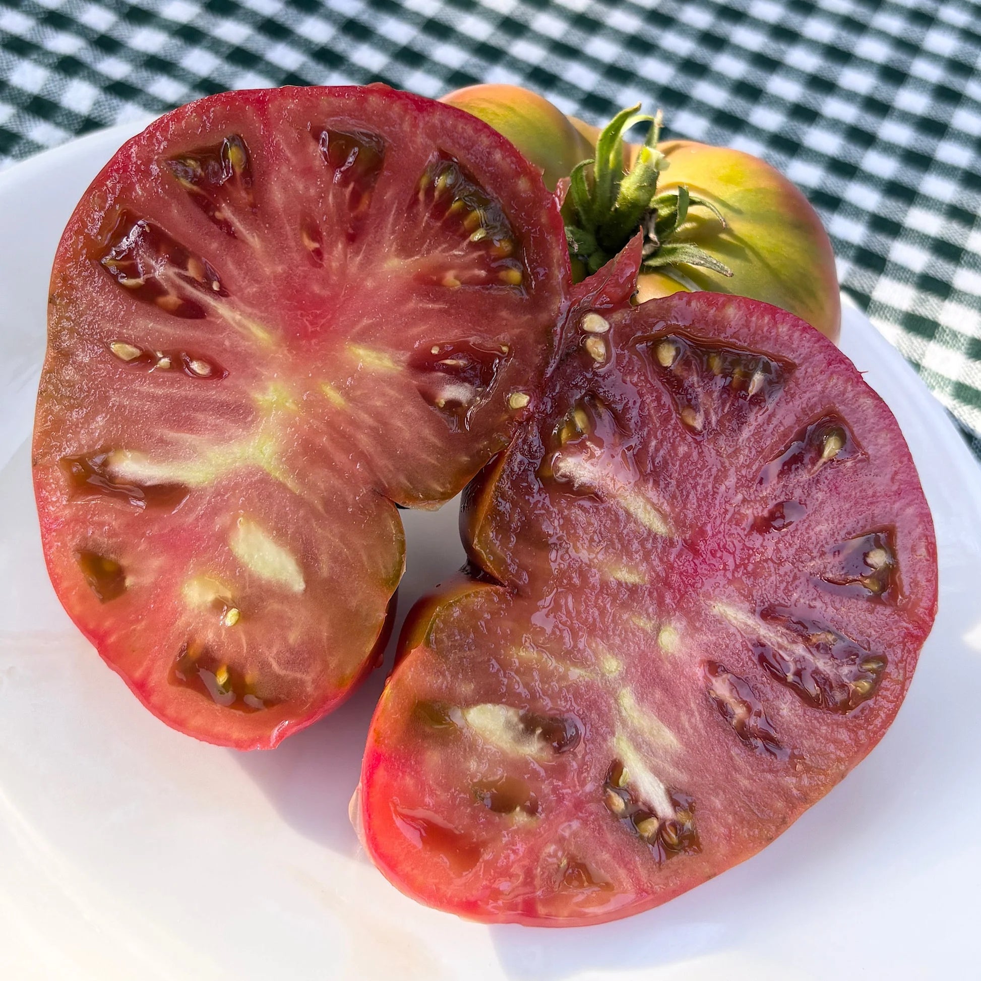 Dwarf Wild Fred Tomato
