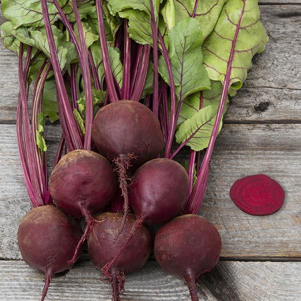 Early Wonder Beets Seeds