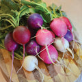 Easter Egg Radish Seeds