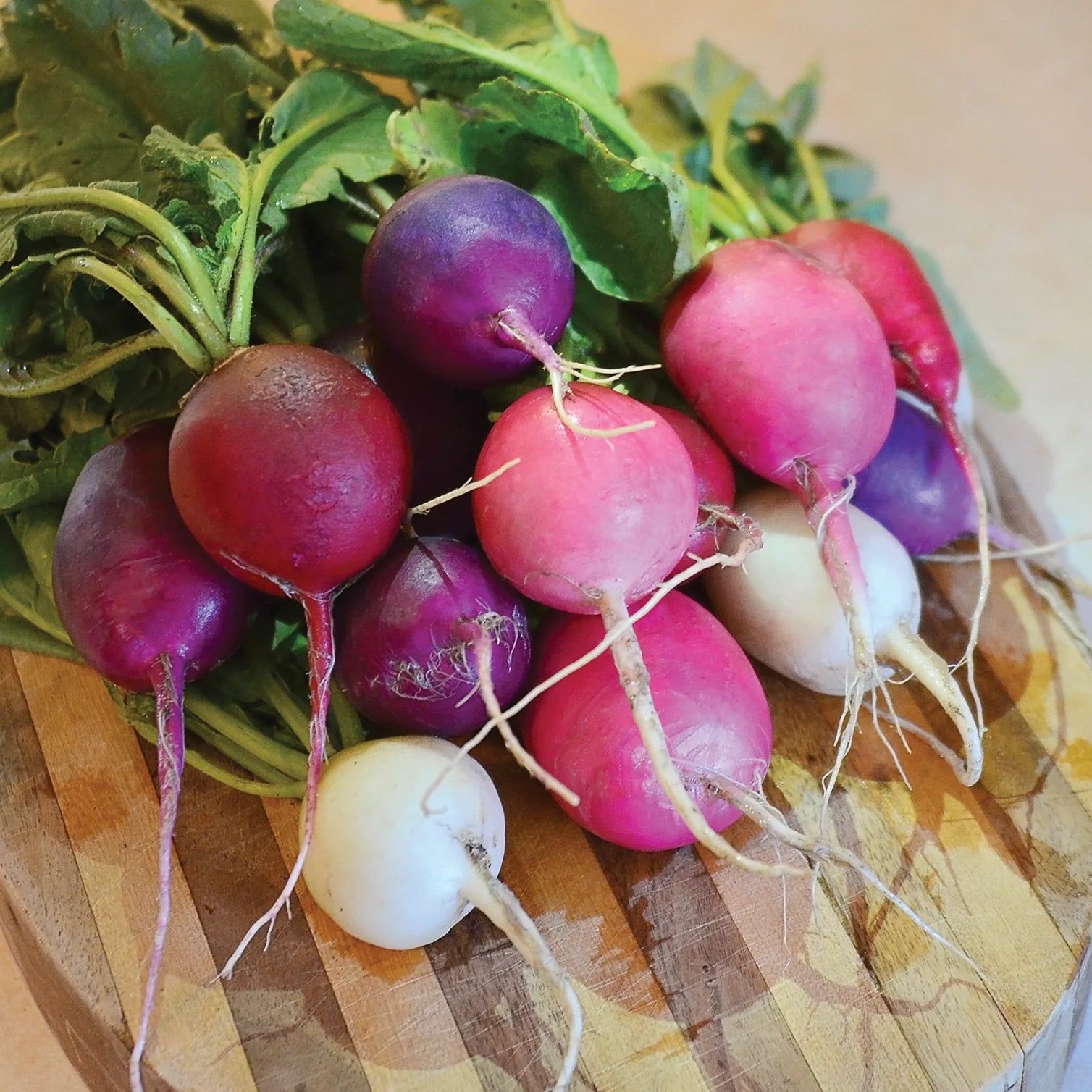 Easter Egg Radish Seeds