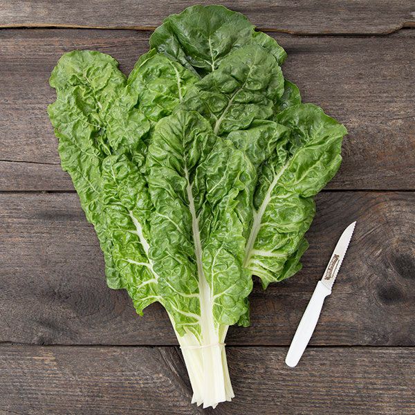 Fordhook Giant Swiss Chard