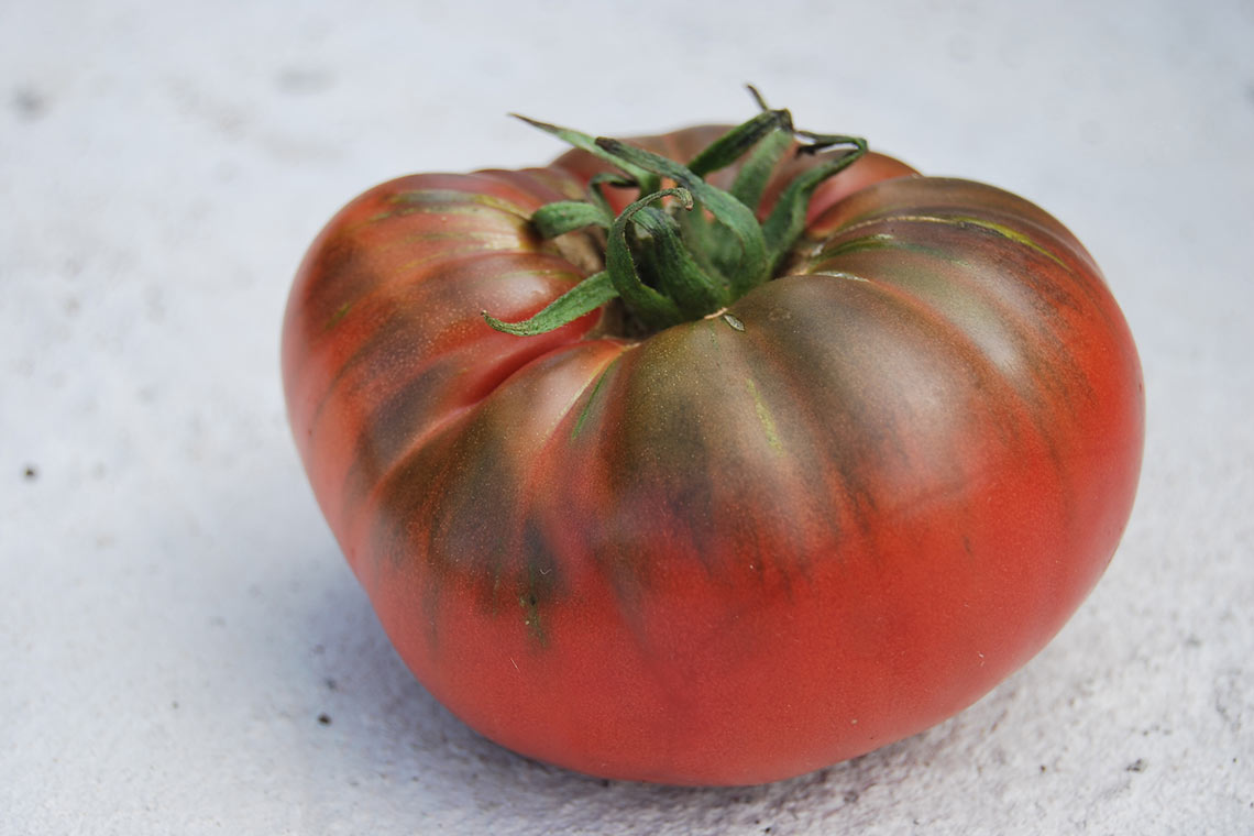 Gary O'Sena Tomato
