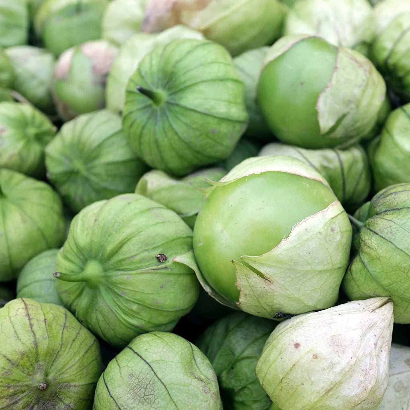 Grande Rio Verde Tomatillo