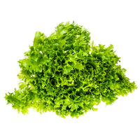 Green Ice Lettuce - Succession Pack