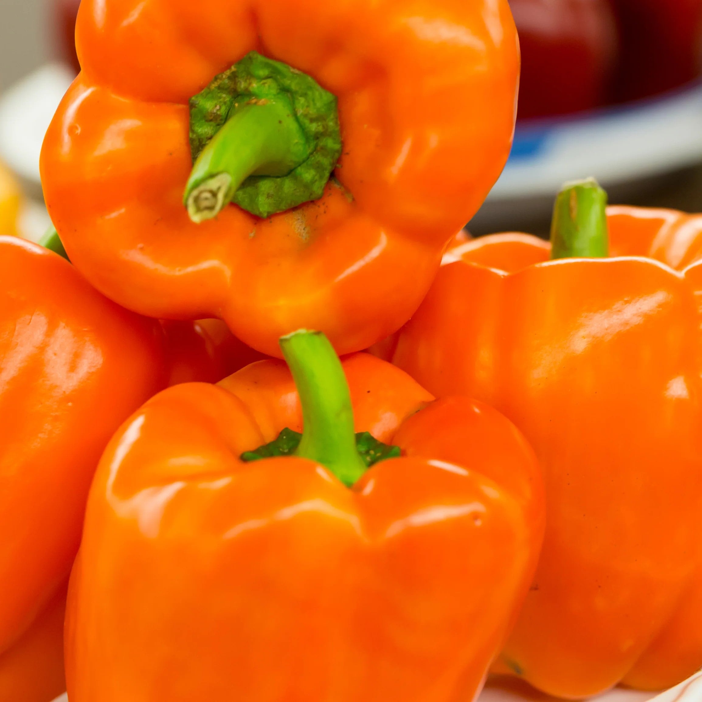 Horizon Orange Sweet Pepper
