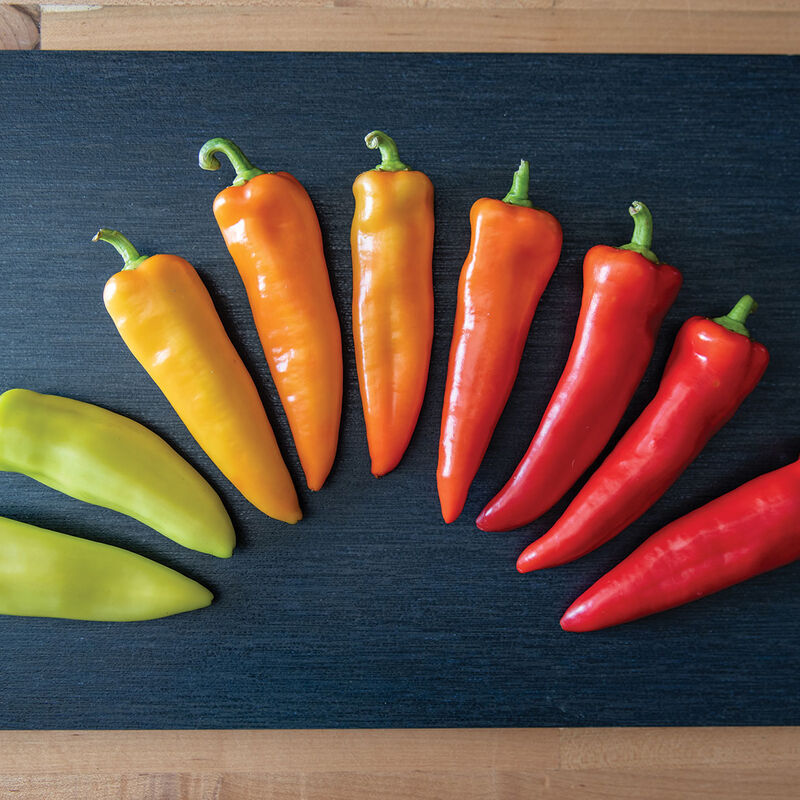 Hungarian Hot Wax Chile Pepper