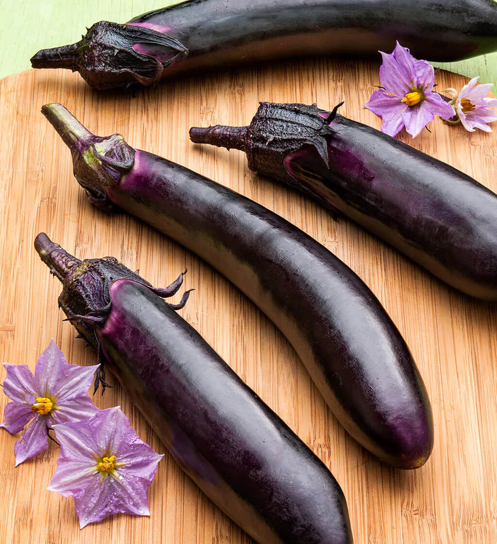 Ichiban Eggplant