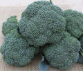 Imperial Broccoli