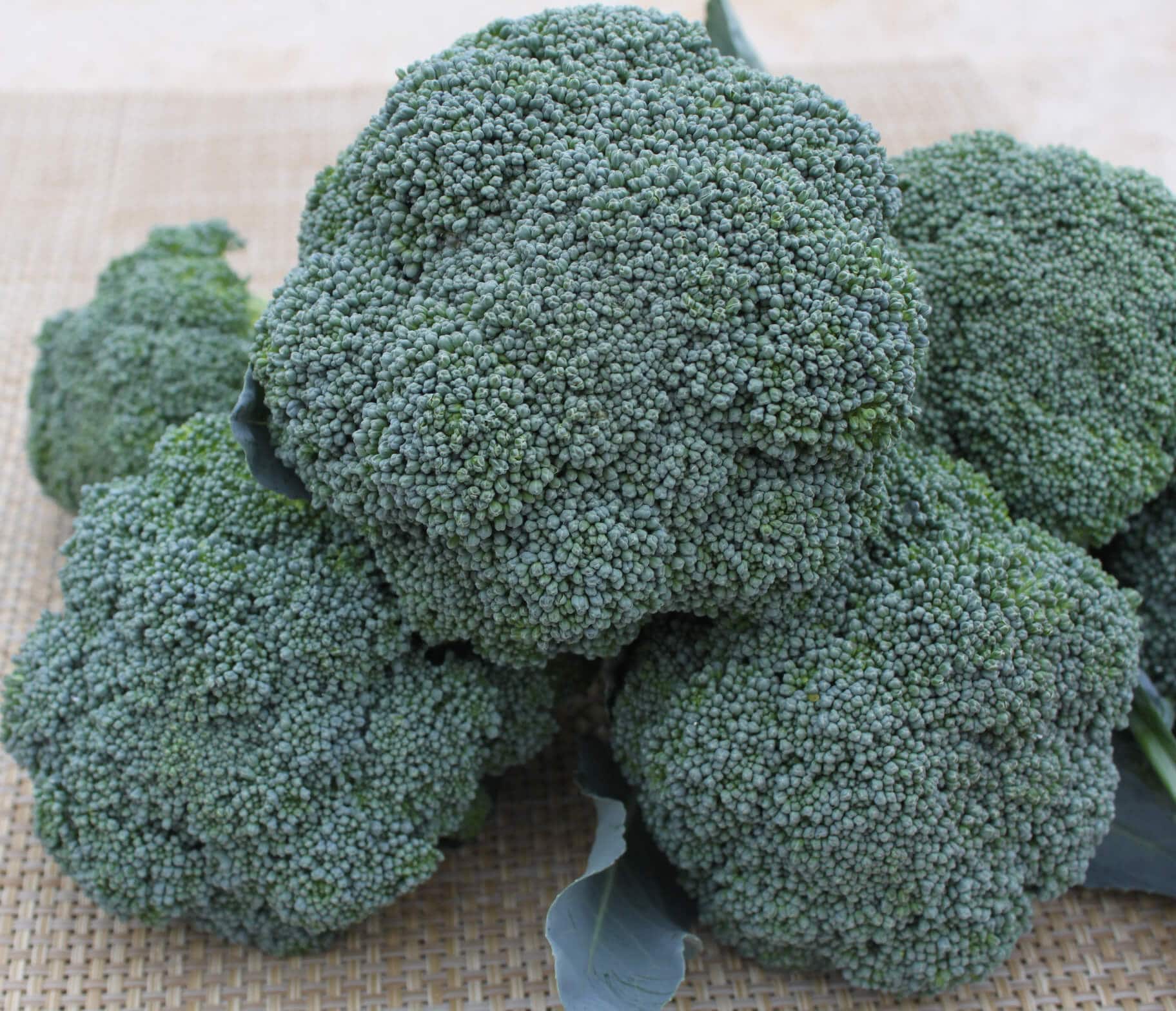 Imperial Broccoli