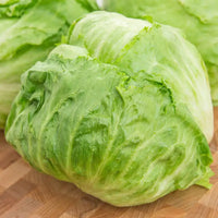 Ithaca Lettuce - Succession Pack