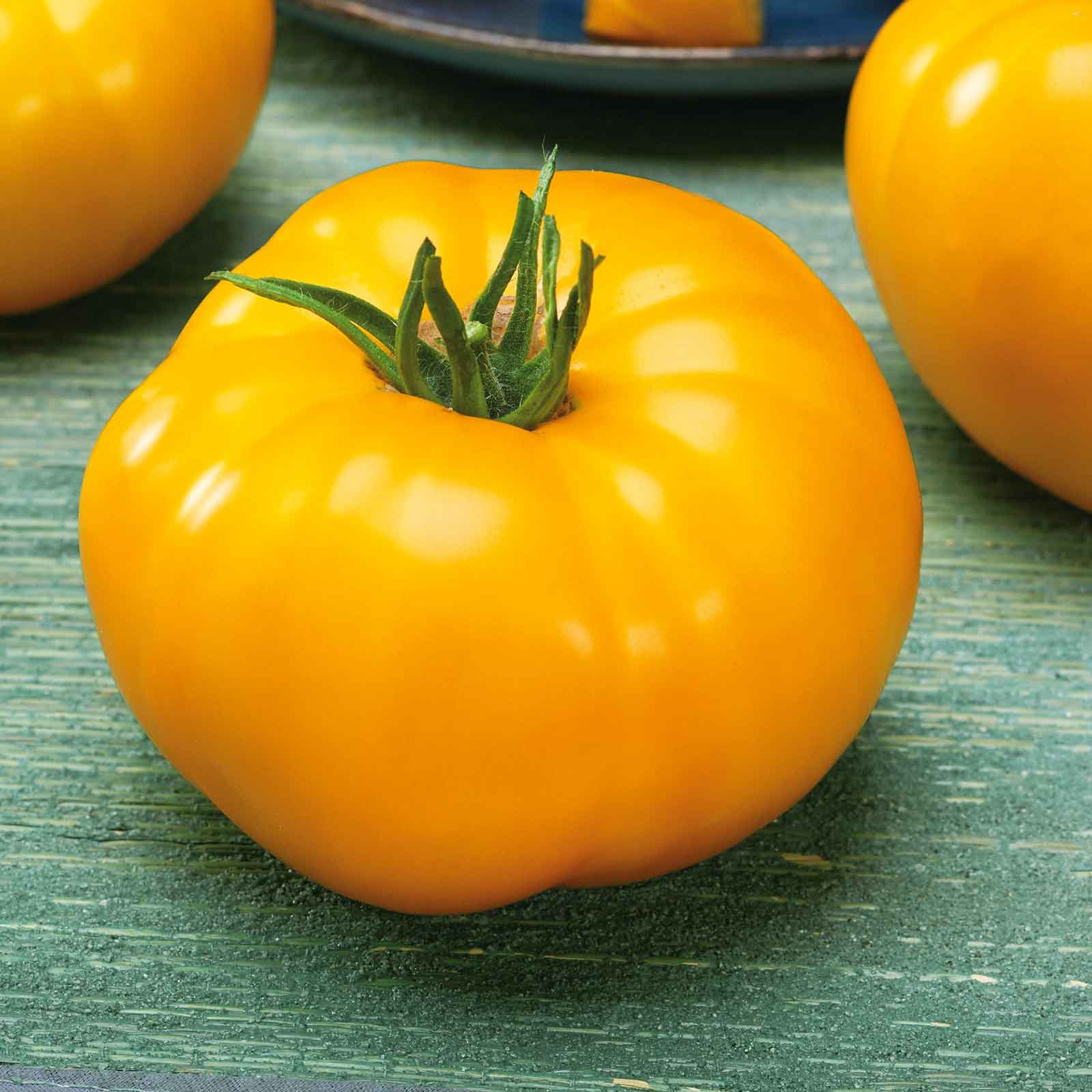 Lemon Boy Tomato