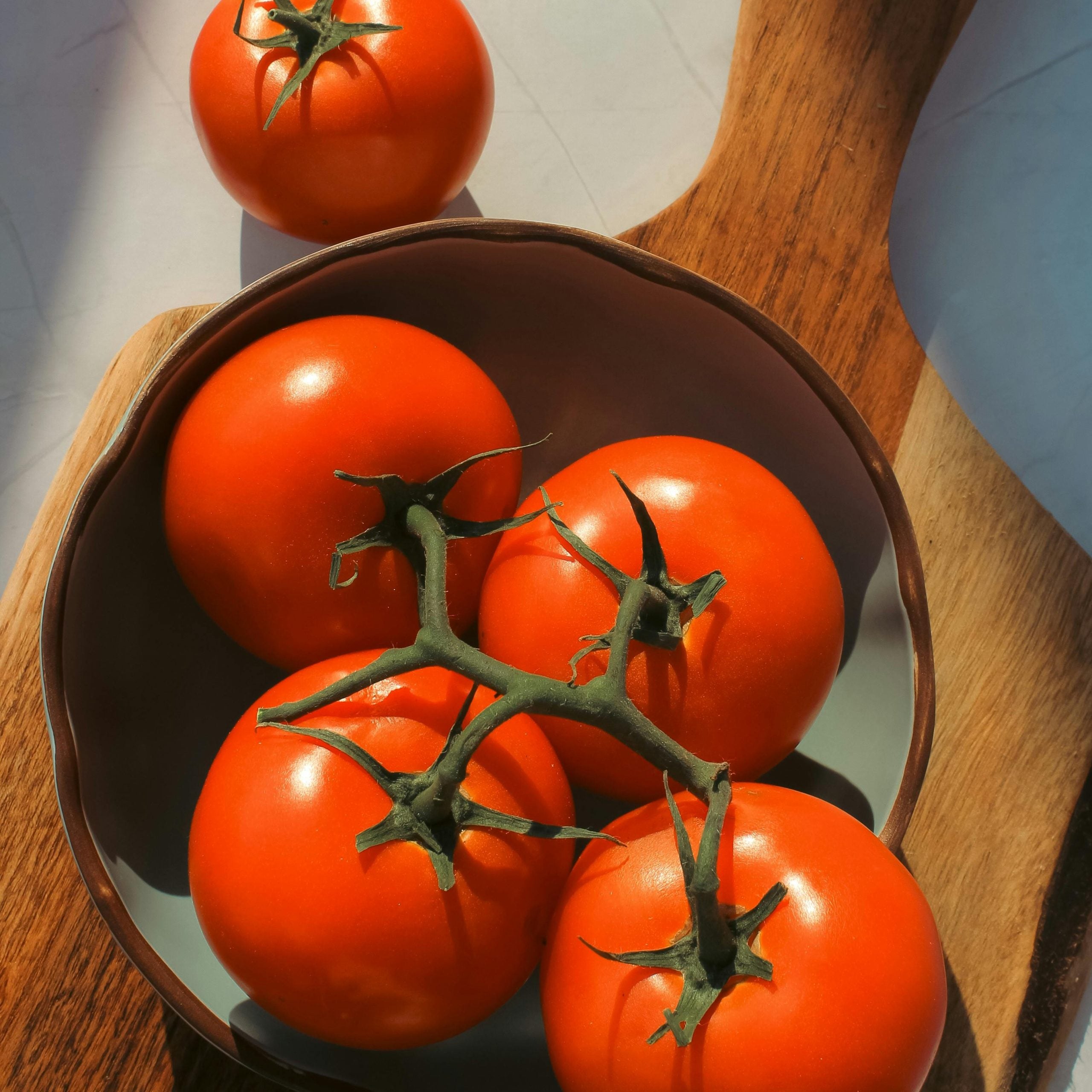 Longkeeper Tomato