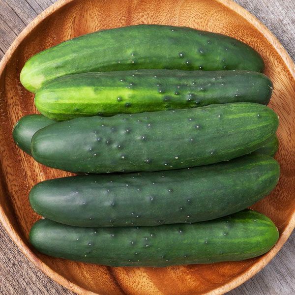 Marketmore Cucumber