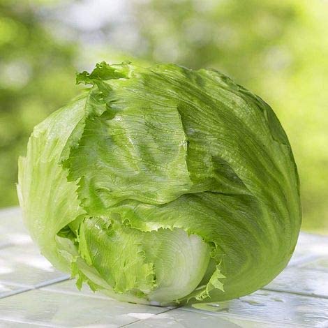 Salinas Lettuce