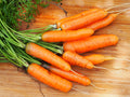 Scarlet Nantes Carrots Seeds