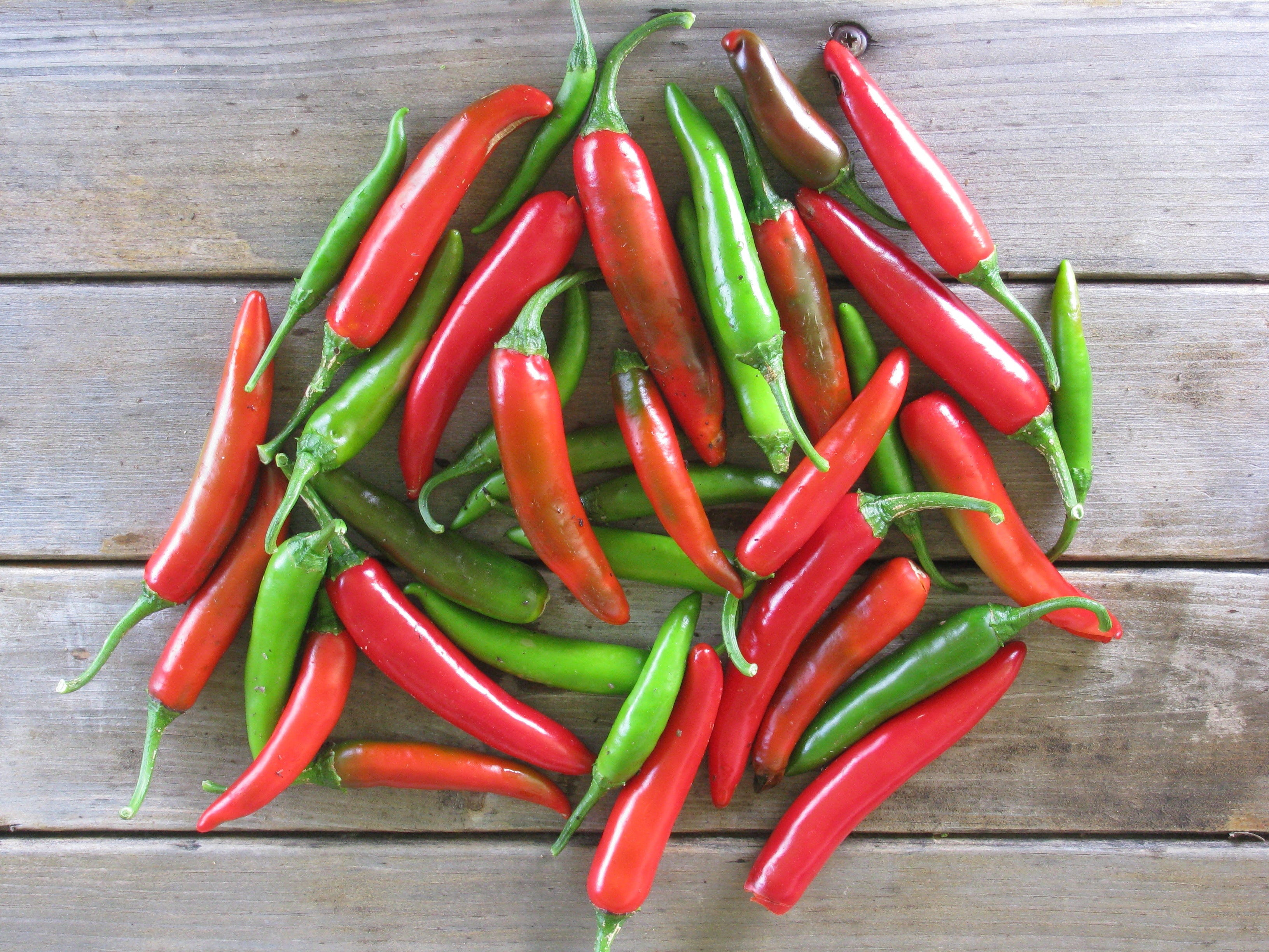 Serrano Chile Pepper
