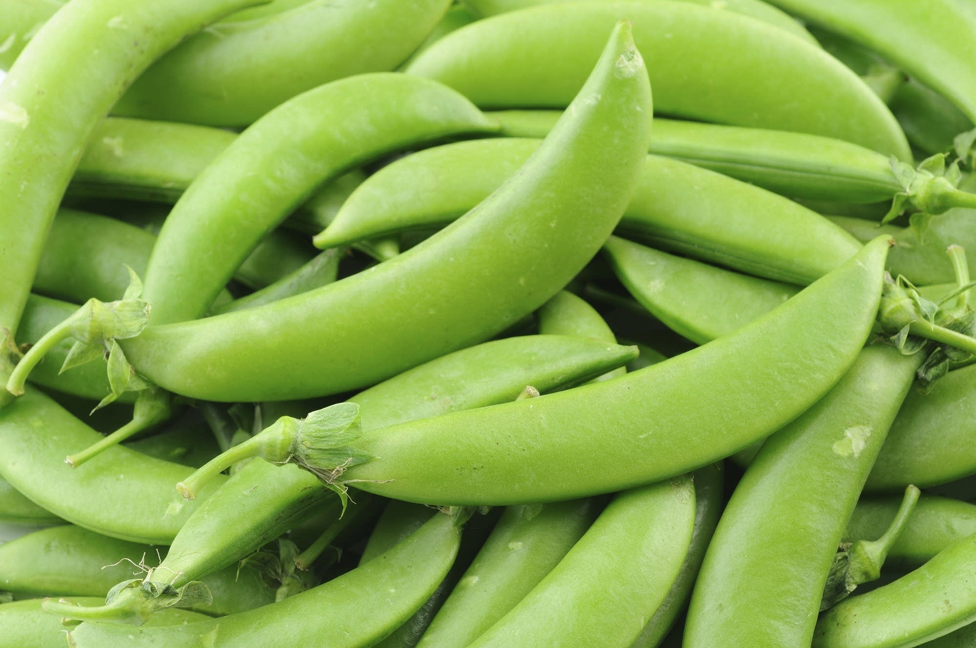 Sugar Snap Pea