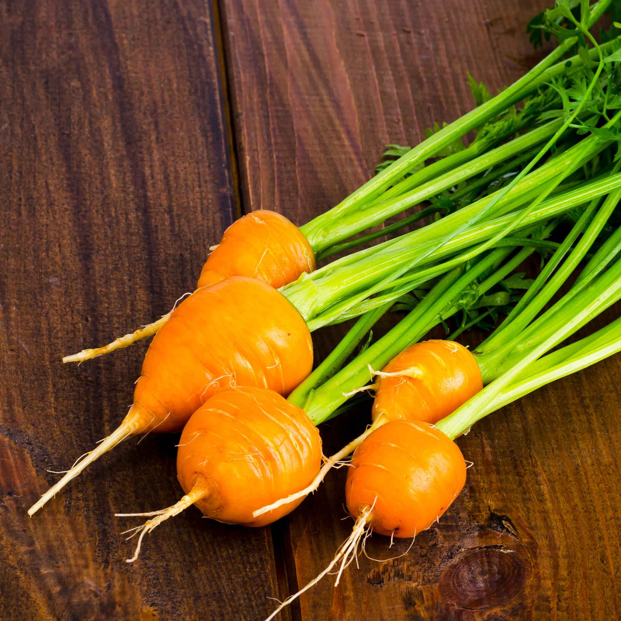 Thumbelina Carrots Seeds