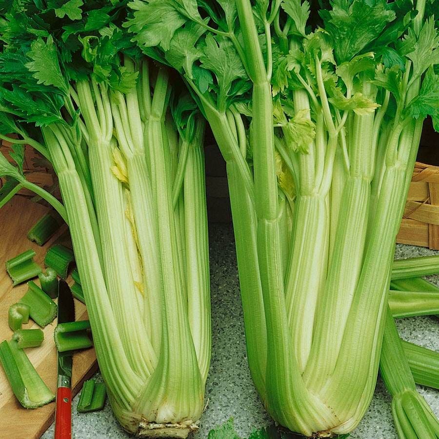 Utah Celery