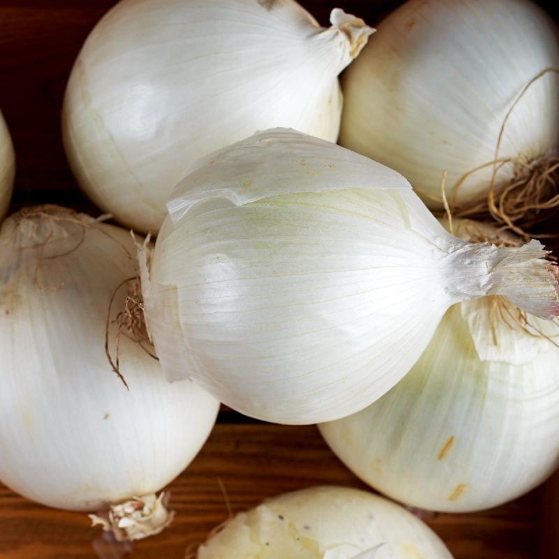 White Sweet Spanish Onions